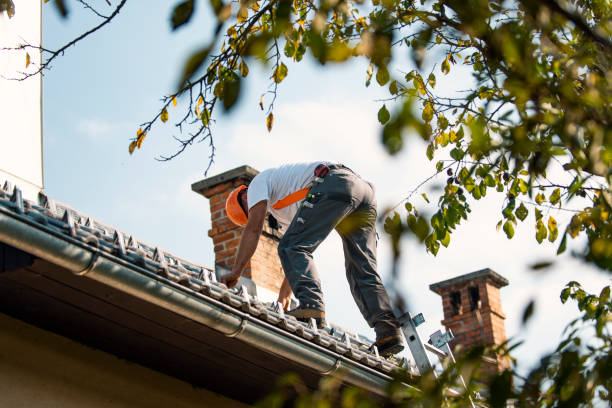 Best Gutter Installation and Roofing  in Somers, WI