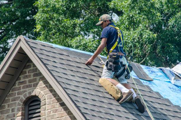 Best New Roof Installation  in Somers, WI